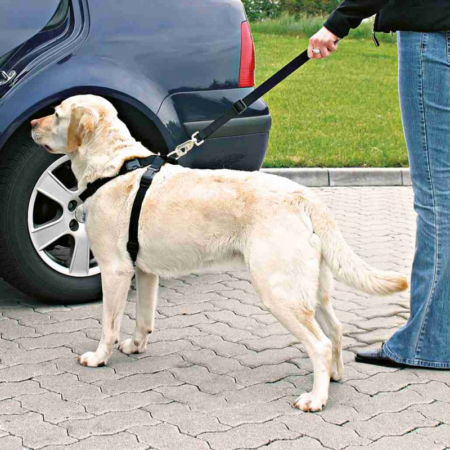 Auto-tuig Trixie - Afbeelding 5